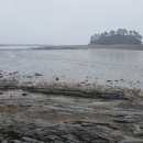 하봉선착장 이미지