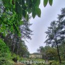 화천공인중개사사무소 이미지