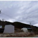 도청상회