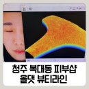 뷰티라인 의원 | 청주복대동피부관리 추천｜올댓 뷰티라인 AI피부진단 &amp; 등순환관리 후기