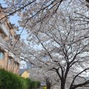 동천성당 앞 이미지