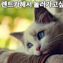 구로-구로-구로-2236 이미지