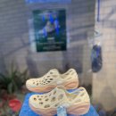 넥스트 슈즈