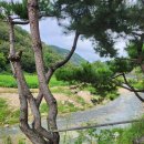 산꽃로 | 금산 분위기 좋은 카페 &#39;홉스커피&#39;
