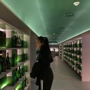 목시 서울 명동 | MOXY 목시 서울 명동 쿼드벙크룸 서울 4인 호텔 호캉스