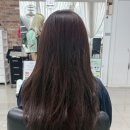 2023-주204 | 배곧미용실 예린쌤의 레이어드허쉬펌+플럼브라운염색