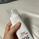 바하 이미지