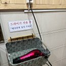 횡성산울림오토캠핑장 | 산좋고 물좋은 횡성 산울림캠핑장 리뷰(완전 추천!!⭐⭐⭐)