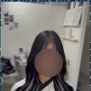 정성붙임머리