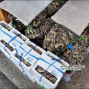 곡성축협마트 네이버블로그