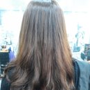 자르세헤어 이미지