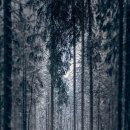 고즈넉이 이미지