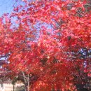 더원하우스 이미지