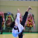 중앙 경희 태권도장 이미지