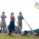 Re: 10월23일 ㅡ정선 로미지안가든 /동재작가님 리딩 ㅡ2 이미지