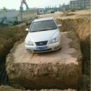 핑크고래 이미지