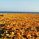 어울림목장 이미지