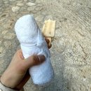 [칸쿤&amp;LA #9] Day3 (스칼렛 아르떼, 스위트 가든 룸컨디션, 스칼렛파크, 마야문명공연, 아레날 디너)