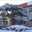 각남면사무소 이미지