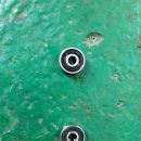 애니카랜드(오류점) 이미지