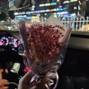 양양한우마을 | 신당동 떡볶이 미니네 후기/남양주 한우마을 후기/양양 낚시