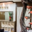 보현한의원 이미지