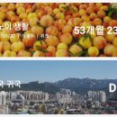 대우비지니스호텔 이미지