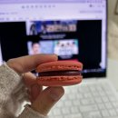 와이디케이 이미지