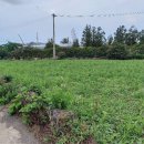 안성리복지회관 이미지