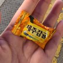 [여수 학동] 부드러운 흑돼지 전문점 추천 제주옥탑 여수점