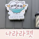 나라라펫 이미지