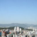 양영석농장 이미지