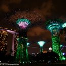 11545-11-31-40 | 싱가포르 여행 마리나베이샌즈 스카이파크 전망대 할인 예약방법 솔직 후기