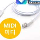 심플리투