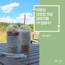 대청호 뷰에 반하고 웅장한 인테리어에 놀란 대형카페 메리골드, 시원한 컵빙수 내돈내산 후기