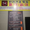 속초여행 호텔 더블루테라 숙박 후기 속초 해수욕장, 설악산 뷰가 일품인 깨끗한 숙소