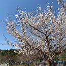 당진시 대덕1로2길 이미지