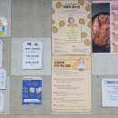 한밭구내식당 네이버블로그