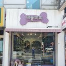 퍼플퍼피 이미지