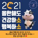 에스에스피 이미지