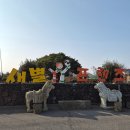 위드프렌즈(친구사이) | 제주 새별프렌즈 행복했던 동물체험 있는 제주도 동물원 할인