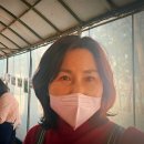 돌머리 696 이미지