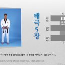 한국체대 태평양 태권도 이미지