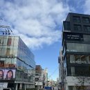 셀빅스 | 압구정피부과 줄기세포치료 셀빅스주사 PRF 효과 솔직후기