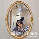 분당 두피관리 추천 : 독일 로하스모 판교센터 산후탈모 케어하기