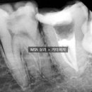 웰메디피아 이미지