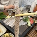 돌회집 | 상남동 청해담 회집 모임 후기 | 도다리 회로 분위기까지 정리된 날