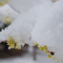 꽃집민박 이미지