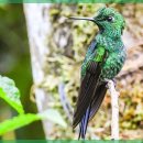 대전한의원 이미지