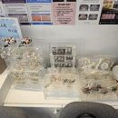 티아라속눈썹